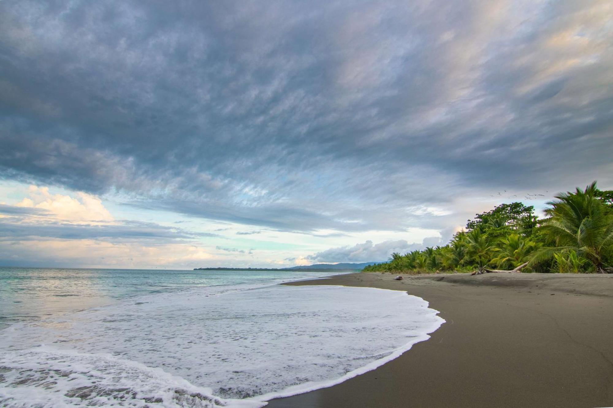 Botanika Osa Peninsula, Curio Collection By Hilton Hotel Puerto Jimenez Exterior photo