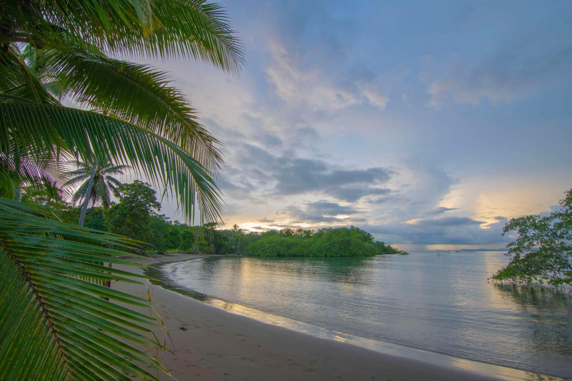 Botanika Osa Peninsula, Curio Collection By Hilton Hotel Puerto Jimenez Exterior photo