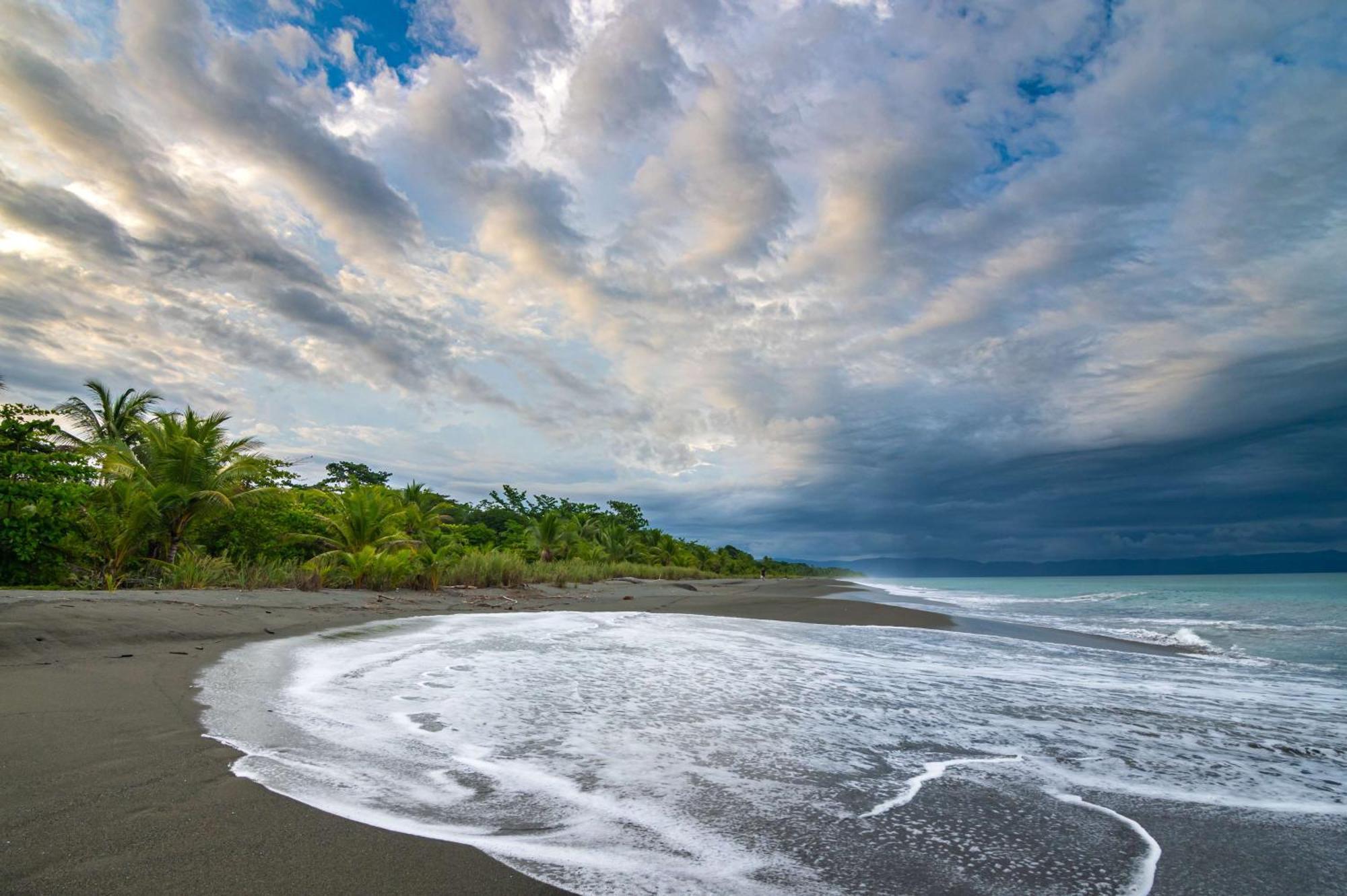 Botanika Osa Peninsula, Curio Collection By Hilton Hotel Puerto Jimenez Exterior photo