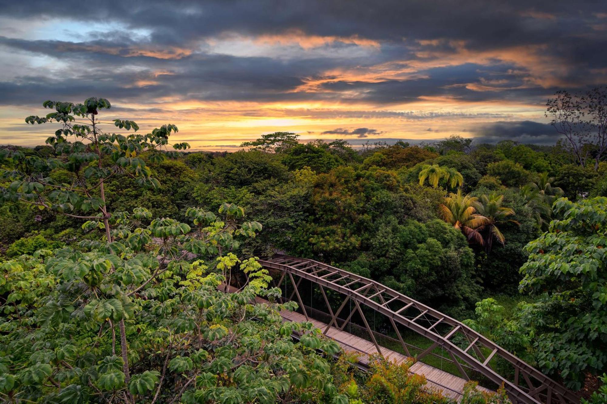 Botanika Osa Peninsula, Curio Collection By Hilton Hotel Puerto Jimenez Exterior photo